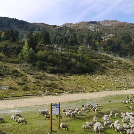 Appartamento Au Cœur Du Laitelet, Pieds Des Pistes, Commerces à Proximité - Fr-1-355-69 *